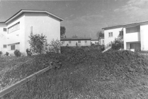 בתי האולפן - 1965