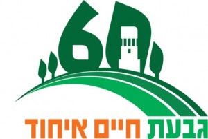 לוגו 60