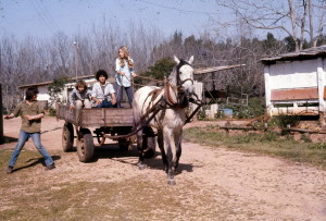 מימין עינת הישראלי, אורית כהן, אייל בלוך