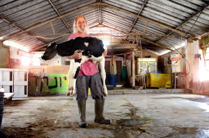 2014 צילמה אפרת אשל - אלי שילר