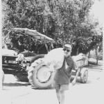 עגלונות - אלי יואכימסטל