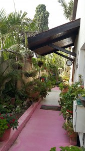 לכו בעקבות השביל הורוד... ותגיעו לבית משפחת רותם!