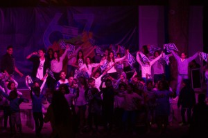 יום העצמאות 2015 צילם אמיר רוטגולץ (2)