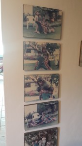 בית משפחת ורדי (45)