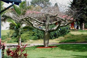 הבית של חיימקה ואגי ורדי צילם אלדד ורדי (9)