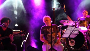 החצר האחורית 2