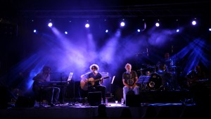 החצר האחורית