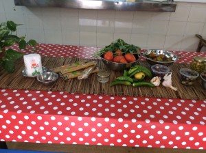 סלטה אפרת מיכאלי 2015 (5)