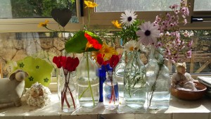 2016-02-25 בית מוהר כתבה לעלון צילמה היידי עפרון (54)