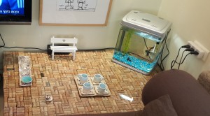 2016-02-25 בית מוהר כתבה לעלון צילמה היידי עפרון (80)