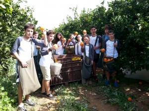 20160220_איריס ברגר צילמה משימת בר מצווה בפרדס קבוצת מנגו    (1)