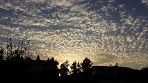 שמים בגבעת חיים צילם יוסי רום 2016