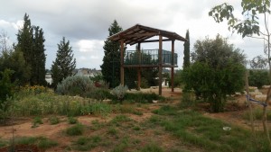 20160412_גן אסף צילם יונתן מירון