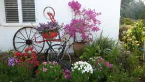 fbe3dd10-b9a8-4fda-abc2-c2d0d6983384