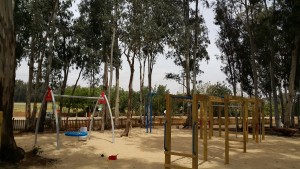 גן גלי שפע 2016 (2)