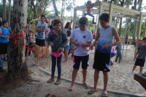 גן גלי שפע 2016