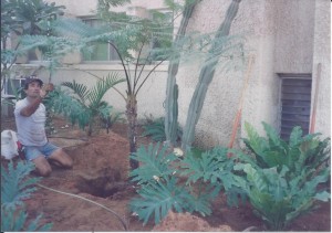 אריק סיון (2)