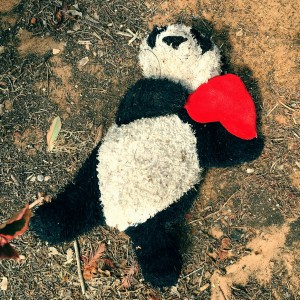 דוב פנדה בקיבוץ סיפור יזהר אסטליין