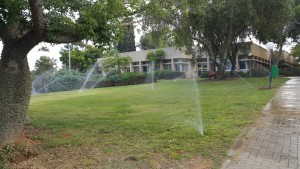 נוי חצר ממטרות