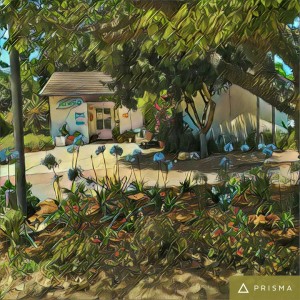 3db5d512e58d30263b1e9dc7d64dc0e4s_13