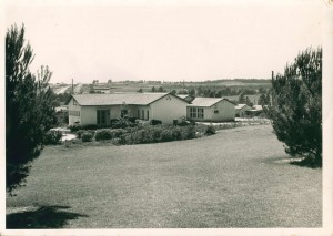 album2-%d7%9e%d7%a8%d7%a4%d7%90%d7%94