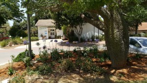 %d7%9e%d7%a8%d7%a4%d7%90%d7%94-2016-%d7%9c%d7%a4%d7%a0%d7%99-%d7%9e%d7%a2%d7%91%d7%a8-%d7%a6%d7%99%d7%9c%d7%9e%d7%94-%d7%94%d7%99%d7%99%d7%93%d7%99-%d7%a2%d7%a4%d7%a8%d7%95%d7%9f