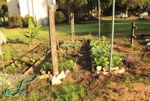 %d7%aa%d7%9e%d7%95%d7%a0%d7%946