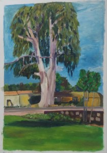 %d7%90%d7%a7%d7%9c%d7%99%d7%a4%d7%98%d7%95%d7%a1-%d7%9e%d7%aa%d7%97%d7%9d-%d7%99%d7%a9-%d7%a9%d7%a0%d7%99%d7%94-%d7%a6%d7%99%d7%99%d7%a8%d7%94-%d7%99%d7%94%d7%95%d7%93%d7%99%d7%aa-%d7%a9%d7%a9%d7%95