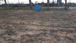 2017 צילם יוסי רום (2)