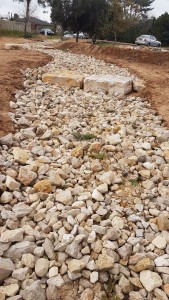 2017 צילם יוסי רום (3)