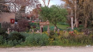 2017 צילם יוסי רום (1)