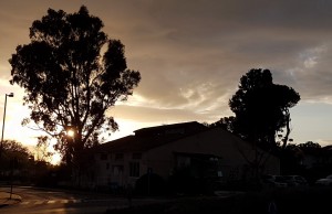 2017 צילם יוסי רום (3)