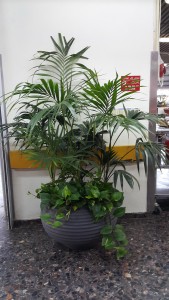 צילמה היידי עפרון (2)