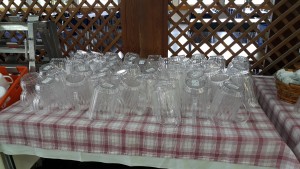 צילמה היידי עפרון (3)