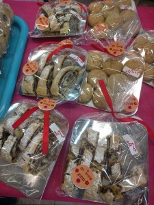 בית וינה מפגש עם שפרירים 2017 בית טרזין שואה (3)