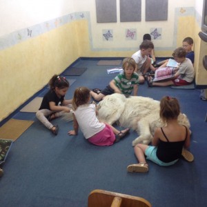 WhatsApp Image 2017-06-06 at 16.53.30