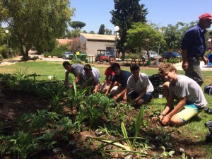 2017 קבוצת מנגו עובדת בנוי