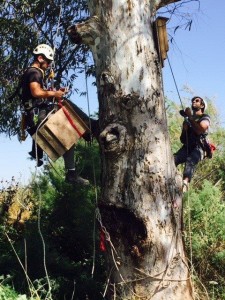 חגי מדיני (3)