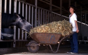 יובל נבון במשק ילדיםGivat-Aslide_461