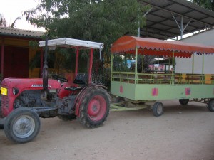הטרקטור של משק ילדים - לגעת בחיות