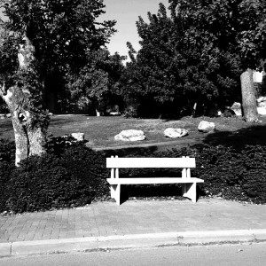 חצר הקיבוץ 2017 - שיכון א', בגח'א (6)