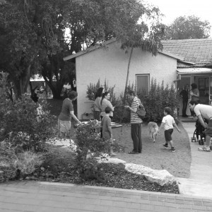 חצר הקיבוץ 2017 - שעת איסוף (2)