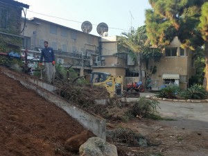 צוות הנוי, 2017 צילמה תמי הורוויץ (1)