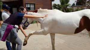 11174685_10207048055823777_8517618248013936363_o