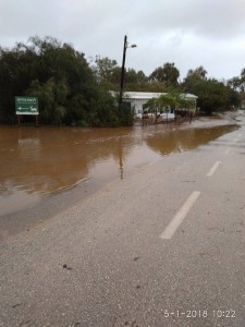 26229359_10209083901369341_4393591805254532497_n