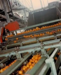 6112013_מכונה ממיינת גת