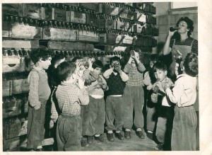 Album2 דרורה עם ילדי הגן בביקור בגת