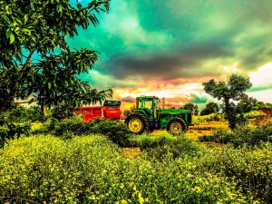 בדרך לגת אפרת אשל 2018