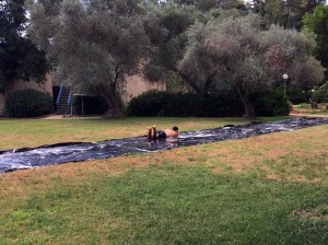 WhatsApp Image 2018-06-03 at 13.57.15