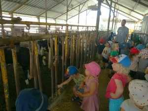 גן זית מבקר ברפת 2018